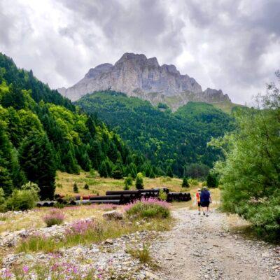 Cover Image for ЛЕШНИЦА пркоси со својата убавина пред секоја немарност и негрижа. Таа е загубена убавина среде Шар Планина што треба да се пронајде и секој посетител да се соживее со неа