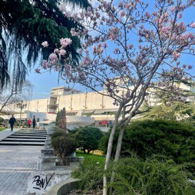 Cover Image for ГТЦ ВЕЌЕ ОДАМНА Е СИМБОЛ НА ГРАДОТ САМО НА ХАРТИЈА