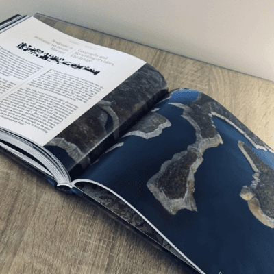 Cover Image for МАКЕДОНИЈА НА МАСИЧКАТА ВО ДНЕВНАТА